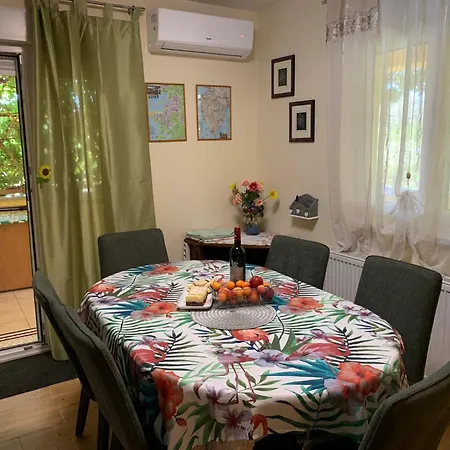 Saraja Ližnjan